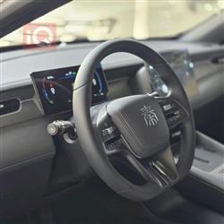 بی وای دی Qin Plus